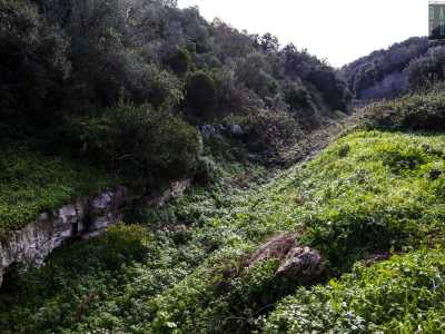 ...rimanendo estasiati dalla bellezza incontaminata e pura del luogo in cui � facile imbattersi in uccelli migratori, volpi, faine, donnole e tassi
